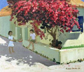 Bouganvillaea, Zante, 1999 (oil on canvas) 