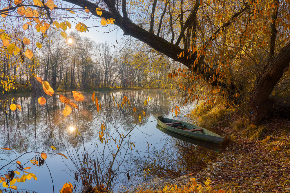 Golden autumn od Andrii Kazun