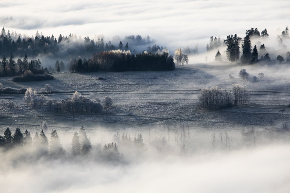 misty &amp; frosty morning od Aneta Mikulska