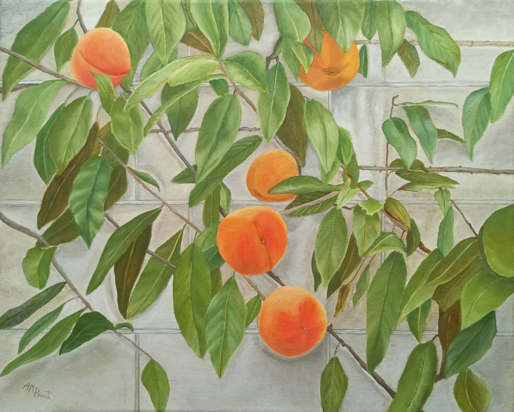 Peaches od Angeles M. Pomata