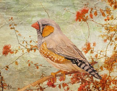 Zebra Finch Among Almond Trees