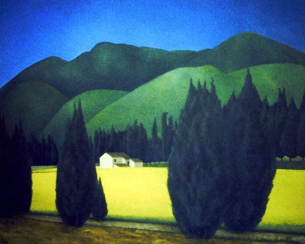 Landscape with Conifers od Ann  Brain