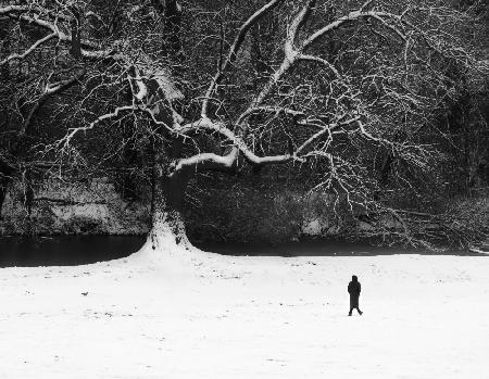 Walk in black and white.