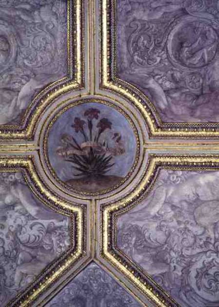 Floral ceiling decoration, from the 'Camerino' od Annibale Carracci