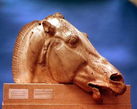 Head of one of the horses of Selene, goddess of the moon,from the east pediment of the Parthenon od Anonymous