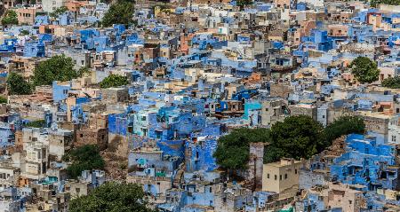 Jodhpur