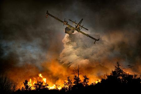 Fire in the National Park of Cilento #2