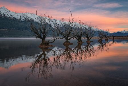 One Calm Pink Sunrise