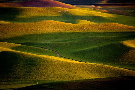 Palouse Sunset