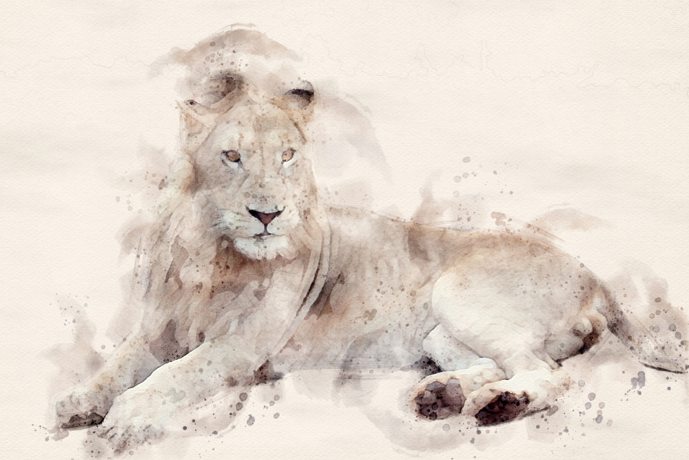 Abstract African Lion Watercolor Art od Arno Du Toit