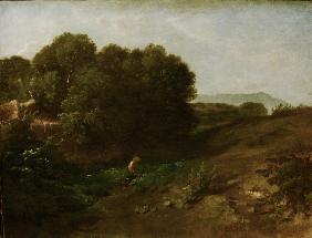 Campagna Landscape