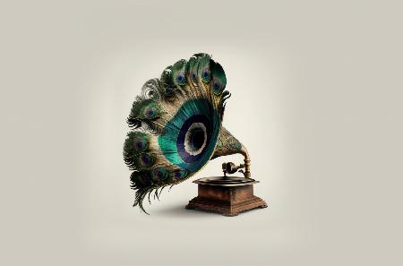 Peacock Gramaphone