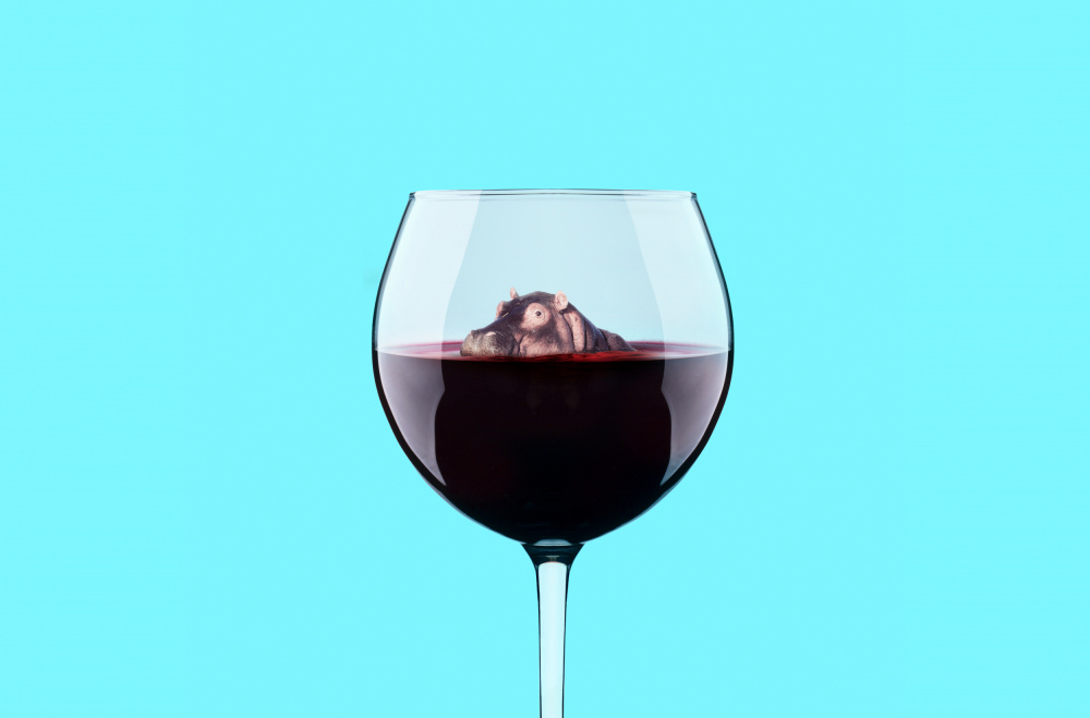 Dive in Wine od Artem Pozdniakov