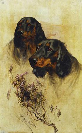 Two Gordon Setters