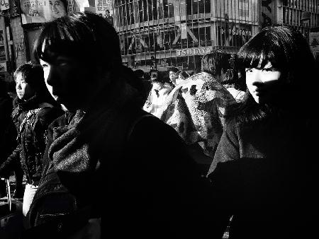 Shibuya Street - TOKYO 2016