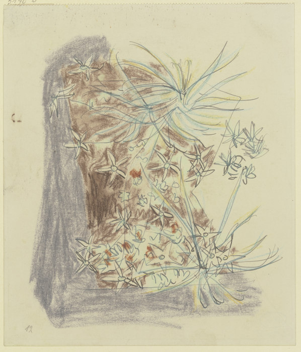 Study of plants od August Babberger