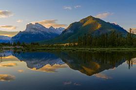 Quiet Summer Morning