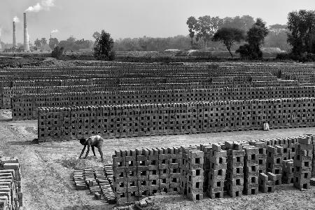 Working alone in Brick field