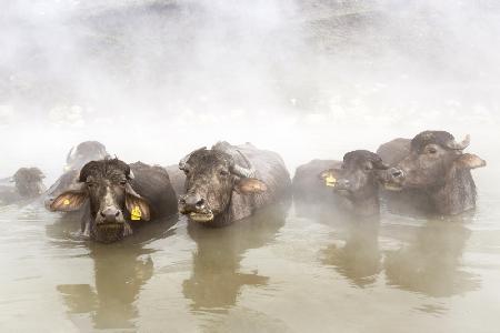 enjoying thermal water in the snow