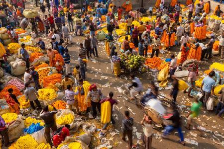 Flower market