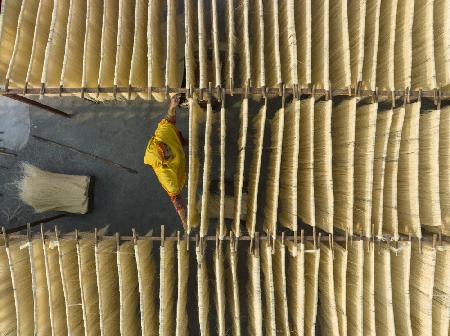 Drying noodles