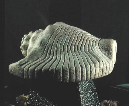 Sea Snail Shell od Aztec
