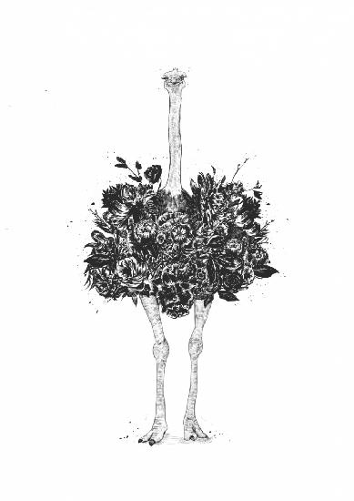 Floral ostrich