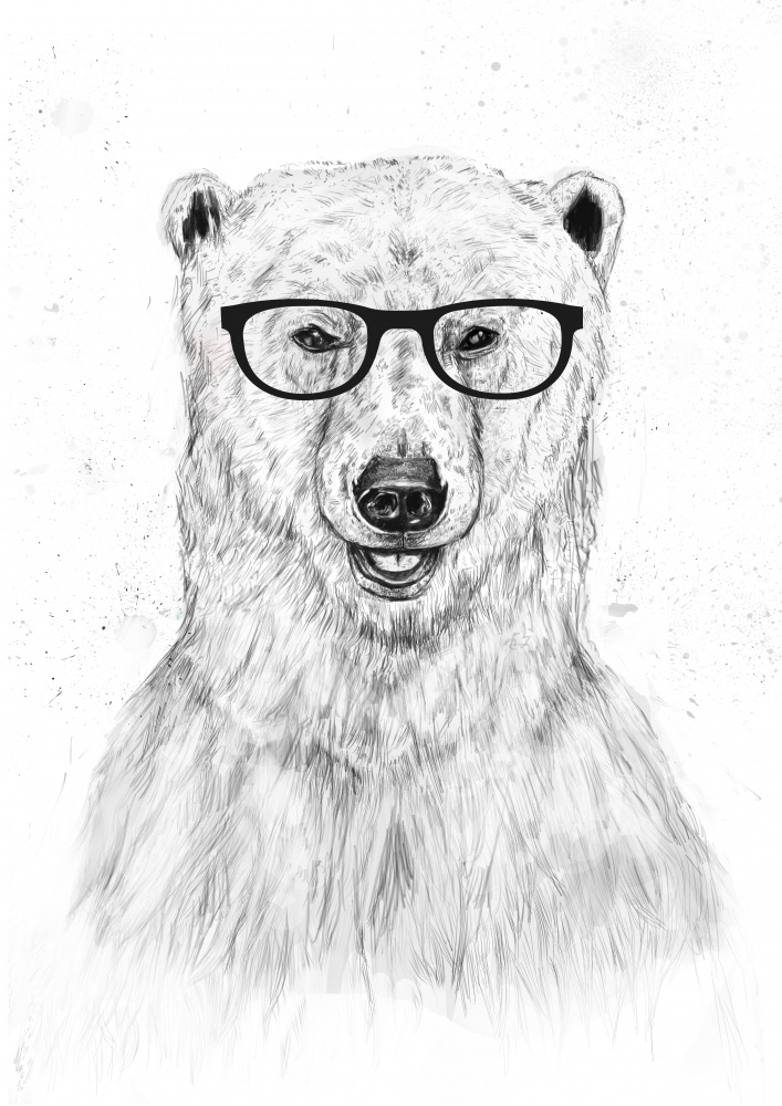 Geek bear od Balazs Solti