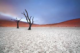 Mist over Deadvlei