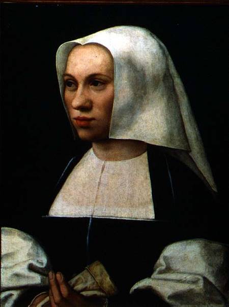 Portrait of a Woman od Bernard van Orley