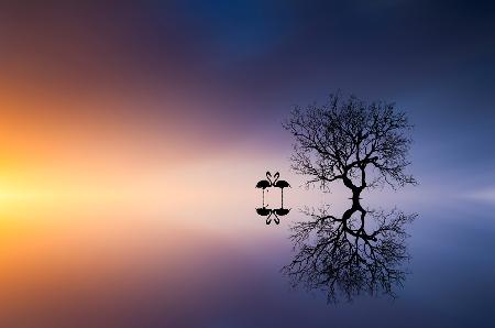 Flamingos in a lake with a tree