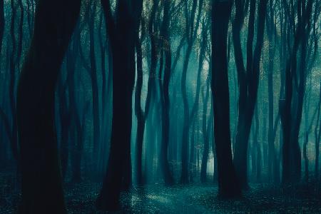 The dark forest