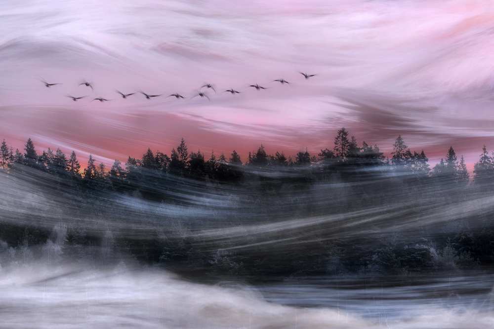 Leaving at dawn od Bjorn Emanuelson