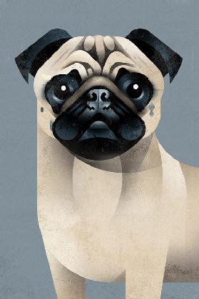 Pug - Dieter Braun