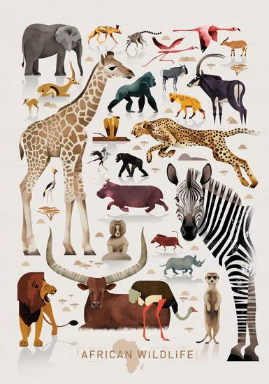 African Wildlife