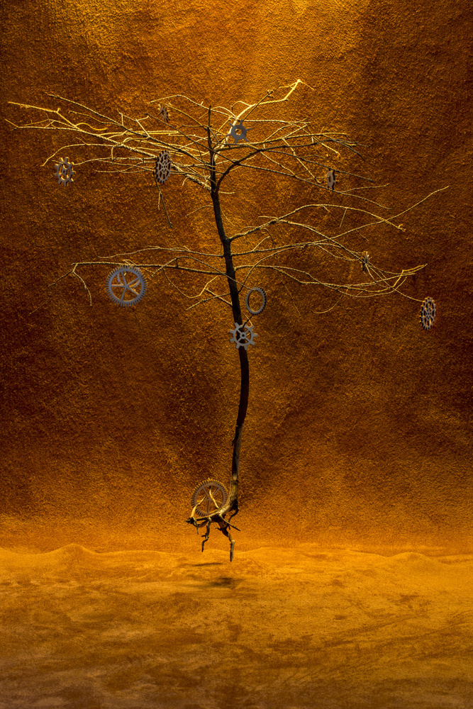 Tree with gears od Brig Barkow