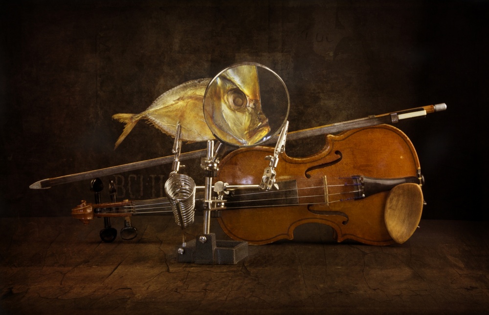 Fish and violin od Brig Barkow