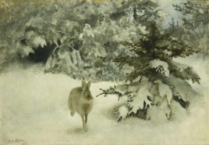 Ein Hase im Schnee od Bruno Andreas Liljefors
