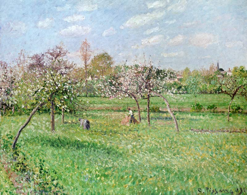 Apple Trees at Gragny, Afternoon Sun od Camille Pissarro