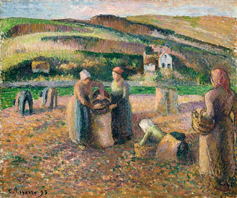 Kartoffelernte od Camille Pissarro