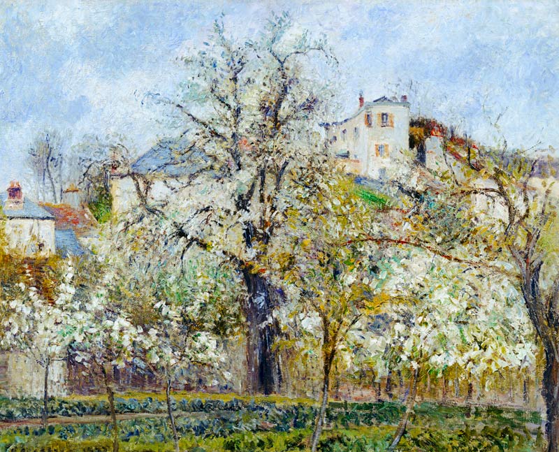 The Vegetable Garden with Trees in Blossom, Spring, Pontoise od Camille Pissarro