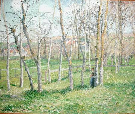 Meadow at Bazincourt od Camille Pissarro