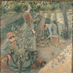 The Apple Pickers