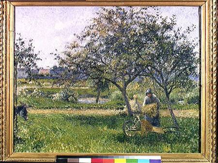 The Wheelbarrow, Orchard od Camille Pissarro