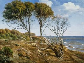 A Coastal Landscape