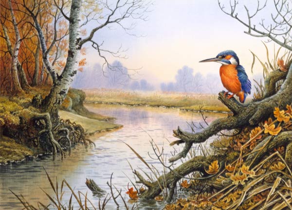 Kingfisher: Autumn River Scene  od Carl  Donner