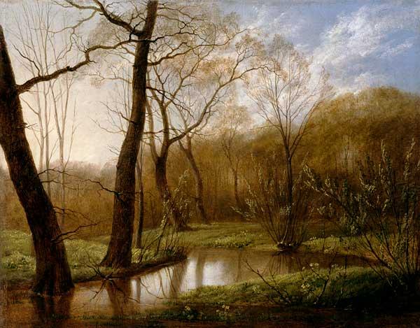 Spring Landscape