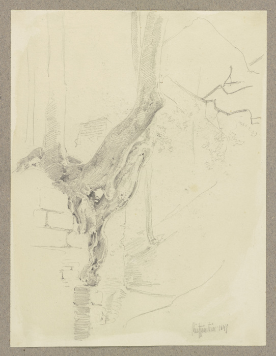 Alter Baum, auf einer geborstenen Mauer wachsend od Carl Theodor Reiffenstein