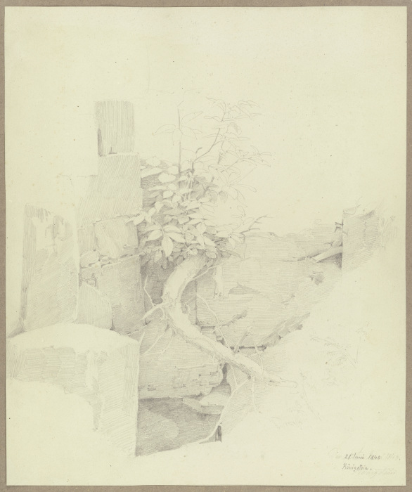 An einer ruinösen Mauer in Königstein aufsprießendes Bäumlein od Carl Theodor Reiffenstein