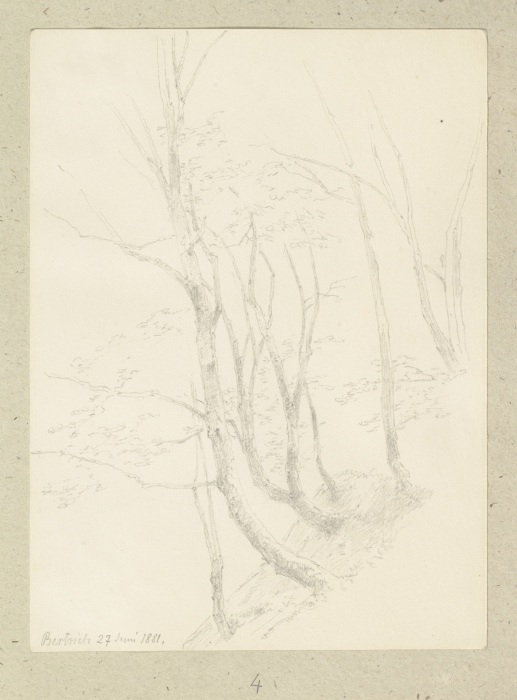 Bäume an einem Steilhang od Carl Theodor Reiffenstein